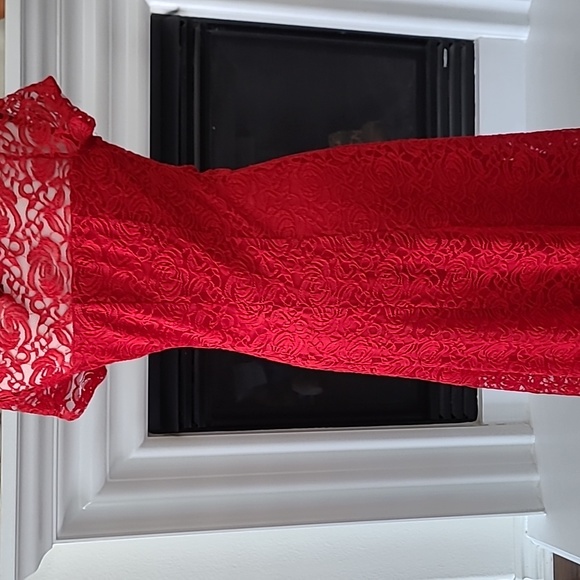 Perceptions New York Red lace dress. - Picture 3 of 8